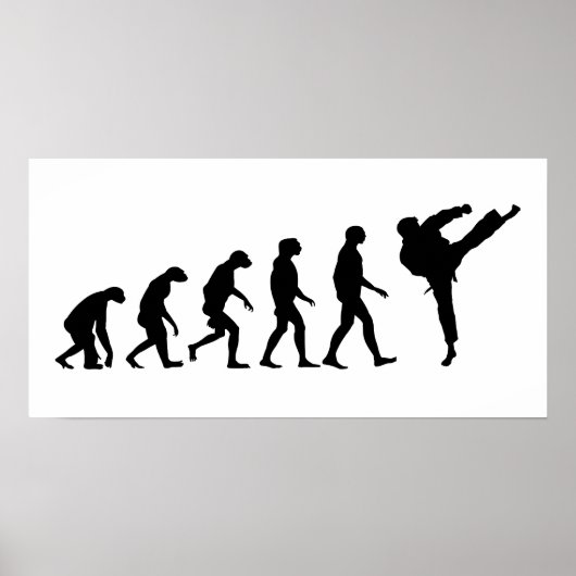 Evolutie van Karate Poster (Voorkant)