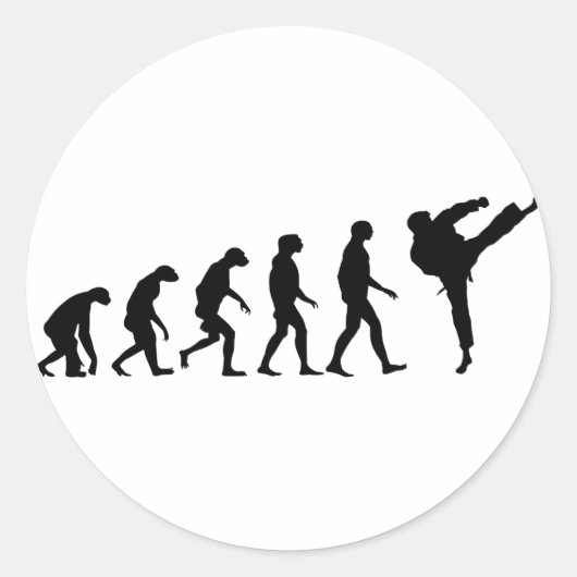 Evolutie van Karate Ronde Sticker (Voorkant)