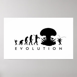 Evolutie van Mens & Kakkerlak Grappige Evolutiekaa Poster