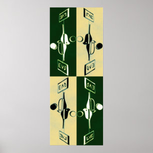 Evolutie van Yin en Yang Poster