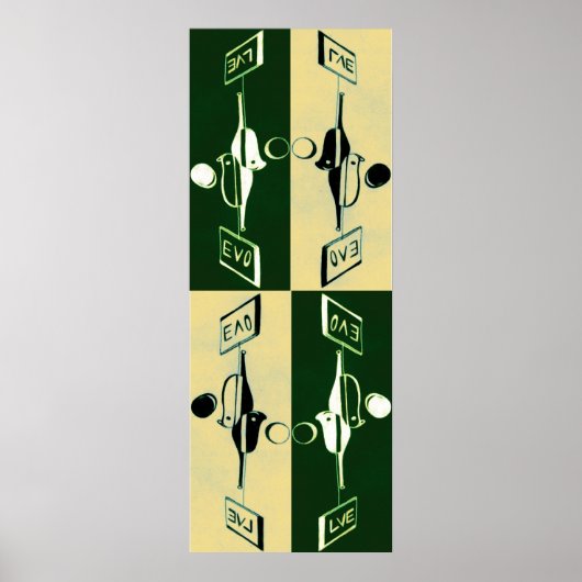 Evolutie van Yin en Yang Poster (Voorkant)