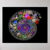 Evolutie vieren poster (Voorkant)