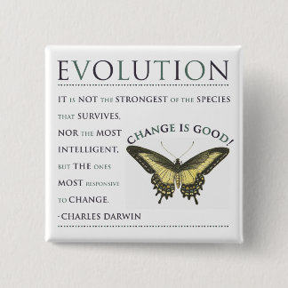 Evolutie Vierkante Button 5,1 Cm