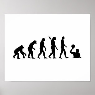 Evolutie waterpolo poster