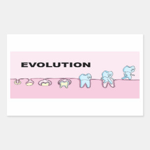 Evolutiedentische sticker