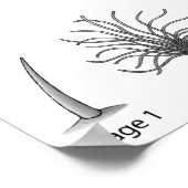 Evolutiedruk van de doezelaar poster (Hoek)