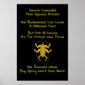 Evolutielimerick Poster (Voorkant)