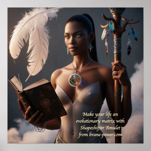 evolutiematrix poster (Voorkant)