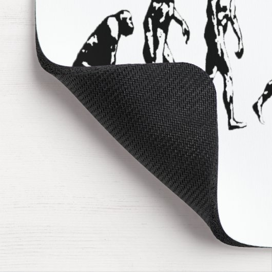 evolutiemodel muismat (Hoek)