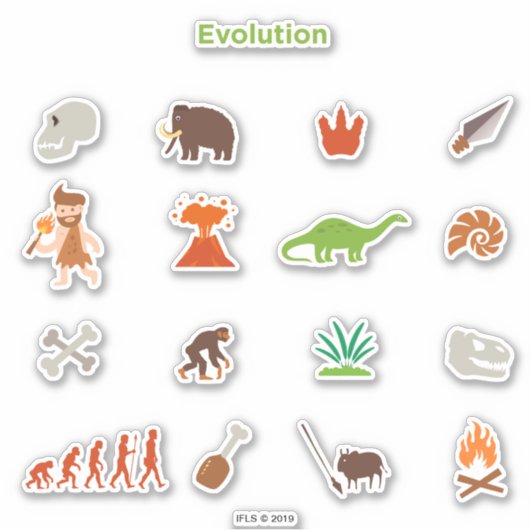Evolutiepatroon Sticker (Voorkant)