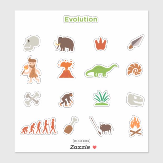 Evolutiepatroon Sticker (Vel)