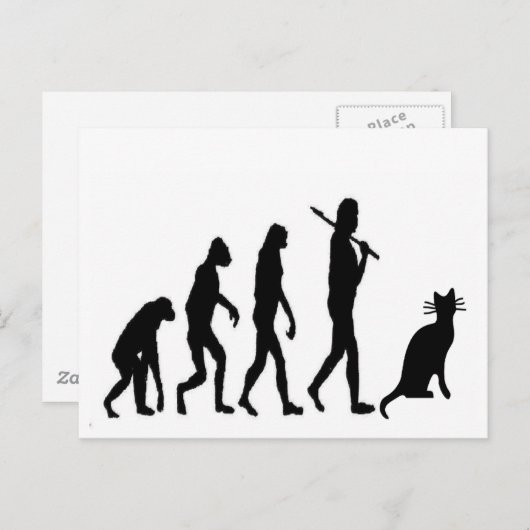 Evolution Cat "We Believe"-Funny Cat Lovers Briefkaart (Voorkant / Achterkant)