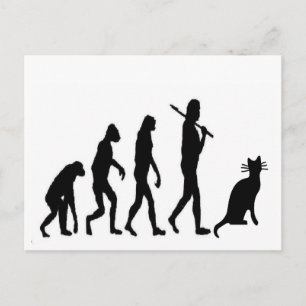 Evolution Cat "We Believe"-Funny Cat Lovers Briefkaart