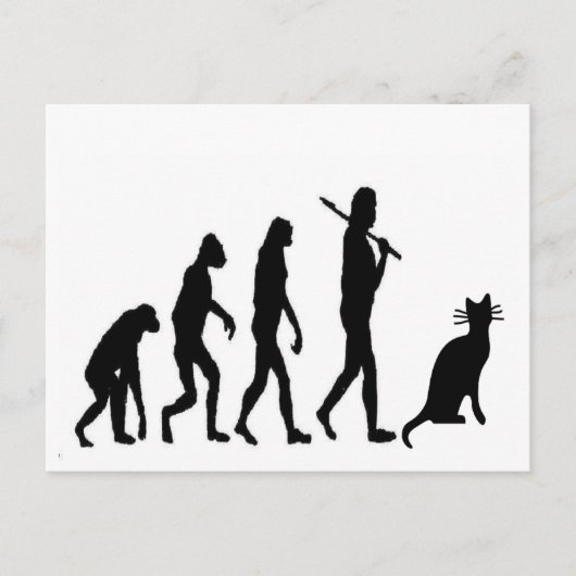 Evolution Cat "We Believe"-Funny Cat Lovers Briefkaart (Voorkant)
