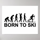 Evolution Cross-country skiing Poster (Voorkant)