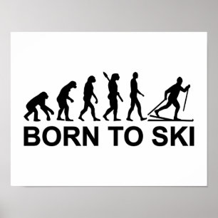 Evolution Cross-country skiing Poster