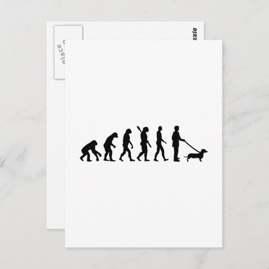 Evolution Dachshund Briefkaart (Voorkant / Achterkant)