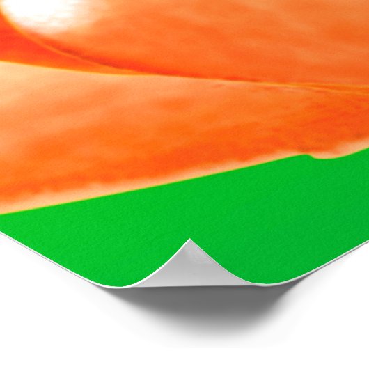 Evolve aan geweldloosheid. Word Vegan. Poster (Hoek)