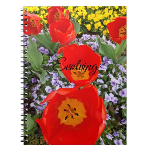 Evolving Red Tulips Spiral Notitieboek (Voorkant)