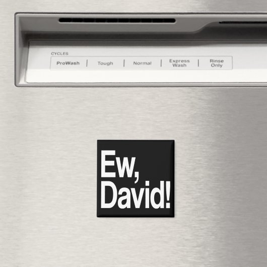 Ew David Magneet (Insitu (Vaatwasser))