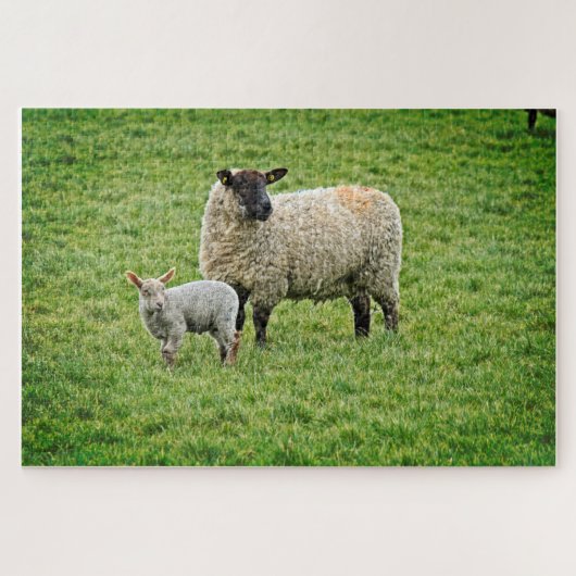 Ewe en Lamb Legpuzzel (Horizontaal)