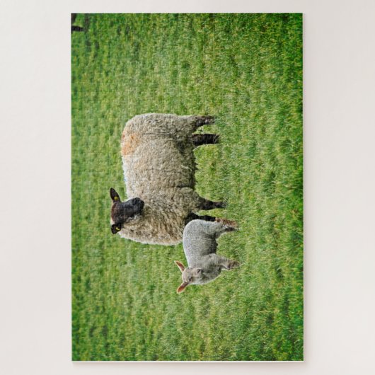 Ewe en Lamb Legpuzzel (Verticaal)