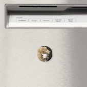 Ewe en Lamb Magnet (Insitu (Vaatwasser))