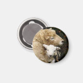 Ewe en Lamb Magnet (Voorkant / Achterkant)