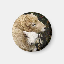Ewe en Lamb Magnet