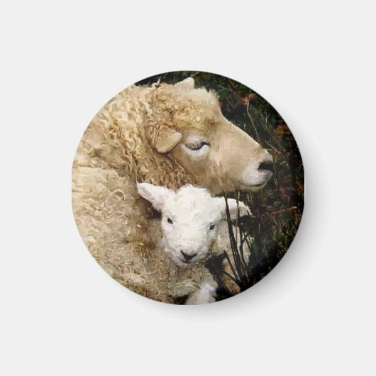 Ewe en Lamb Magnet (Voorkant)