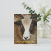 Ewe lichten mijn leven op briefkaart (Staand voorkant)