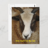 Ewe lichten mijn leven op briefkaart (Voorkant / Achterkant)