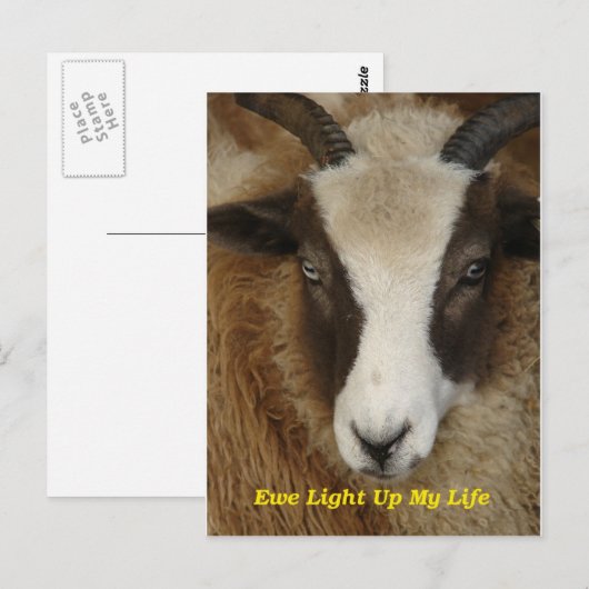 Ewe lichten mijn leven op briefkaart (Voorkant / Achterkant)