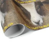 Ewe lichten mijn leven op cadeaupapier (Rol Hoek)