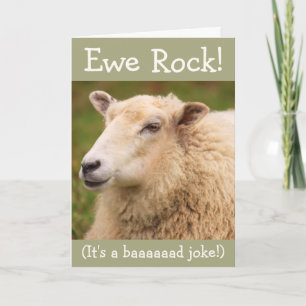 Ewe Rock! Sheep Birthday-kaart Kaart