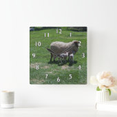 Ewe with Twins Vierkante Klok (Huis)