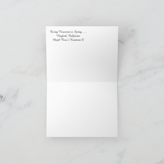 Ewing Reservoir in het voorjaar...... Kaart (Binnen)