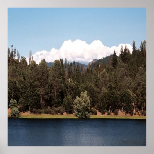 Ewing Reservoir in het voorjaar...... Poster (Voorkant)