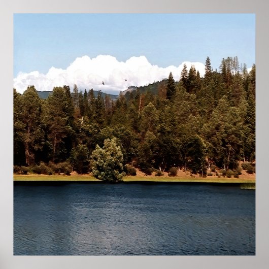 Ewing Reservoir.... Poster (Voorkant)