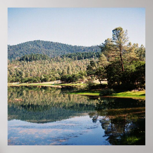 Ewing Reservoir.... Poster (Voorkant)
