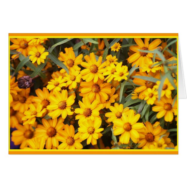 Ex Flower Show (Voorkant Horizontaal)