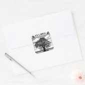 Ex Libris Boom Boekplaat Vierkante Sticker (Envelop)