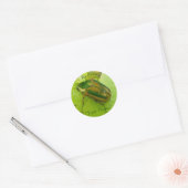 Ex libris Green June Beetle Stickers (Envelop)