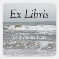 Ex Libris - Surf en meeuw