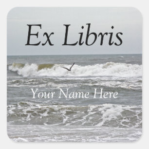 Ex Libris - Surf en meeuw Vierkante Sticker