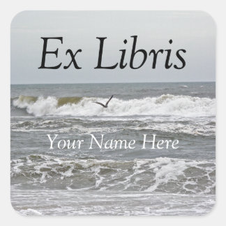 Ex Libris - Surf en meeuw Vierkante Sticker