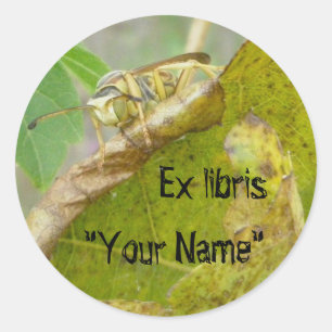 Ex libris Wasp Checking Spider Web Stickers