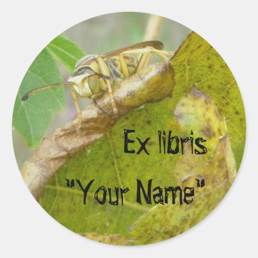 Ex libris Wasp Checking Spider Web Stickers (Voorkant)