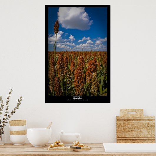 Excel Poster (Keuken)