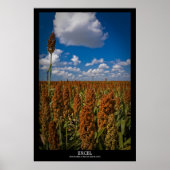 Excel Poster (Voorkant)